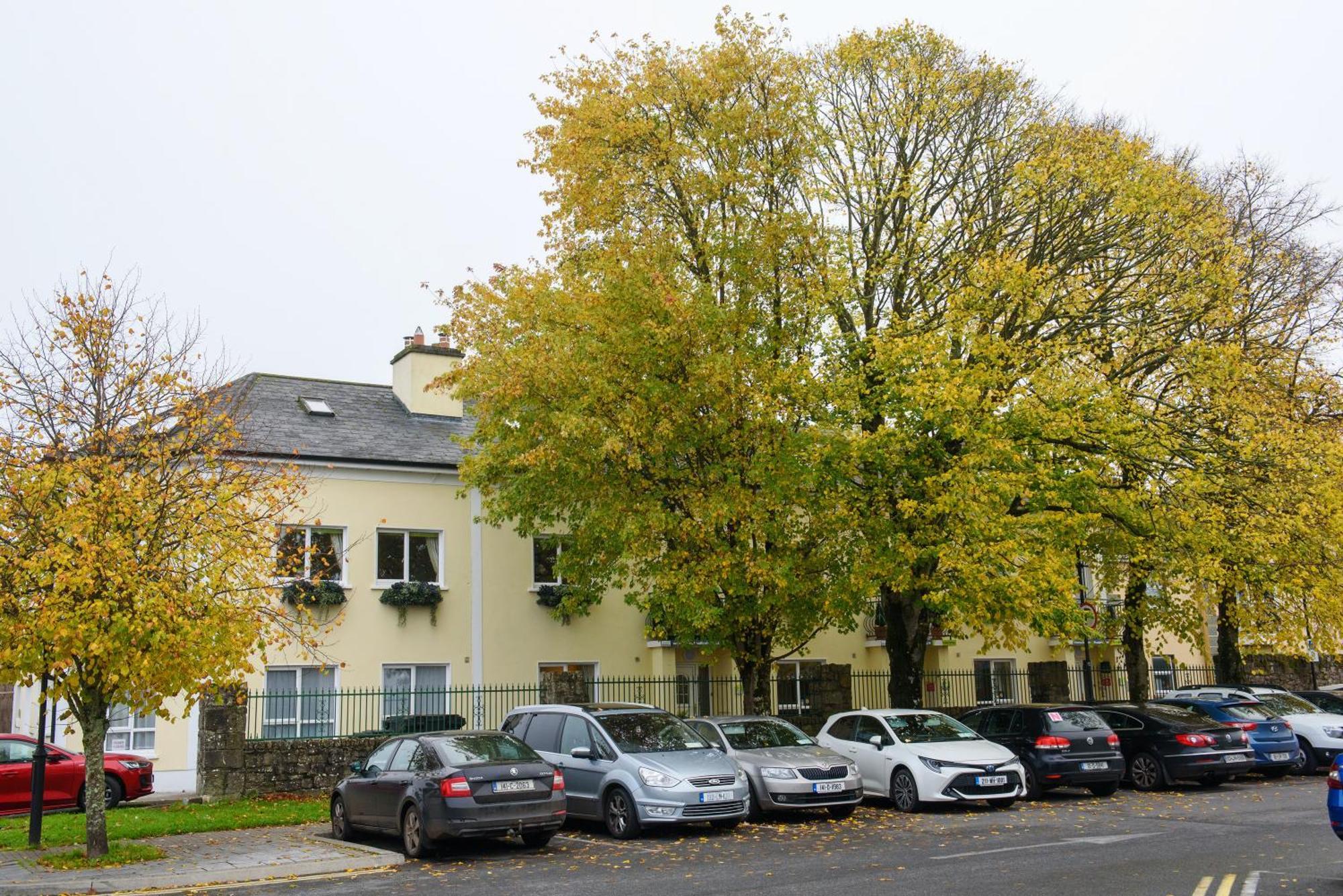 Waterfront Self Catering Houses Carrick on Shannon Eksteriør billede